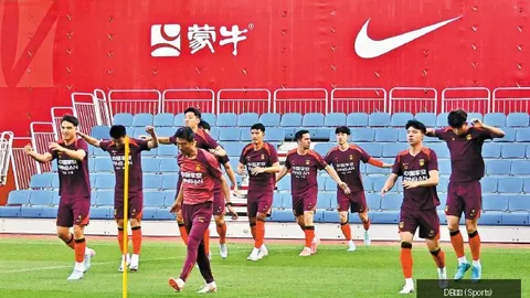 瑞典超深度解析：无门槛数据的潜在风险